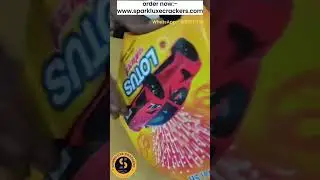 The Beauty of Lotus Wheel Crackers | Sparkluxe crackers best crackers #sivakasi #fireworks
