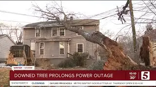 One downed tree in Old Hickory may be prolonging the neighborhood's power outage