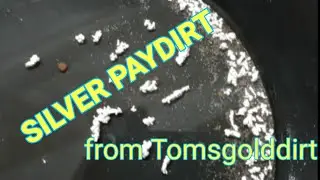 Silver Paydirt