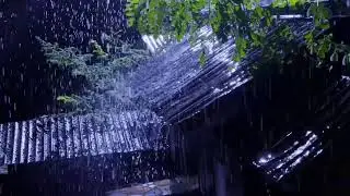 Deep Sleep Rain Sounds – Heavy Rain on Tin Roof, No Ads
