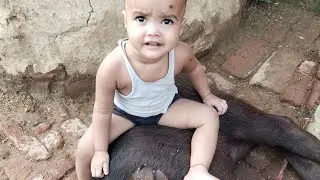 do nanhe sathi #viralvideo