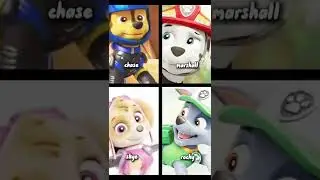 💞paw patrol edit💞