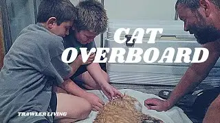 MOB || Man Over Board || Tragedy Happens in the Blink of an Eye || Tiger our Cat Fell Overboard ||