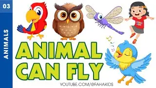 Learn Name Animal Can Fly For Kids | List Animal That Can Fly | 03 | English Vocabulary | FAHA Kids