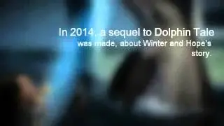 Winter and Hope
