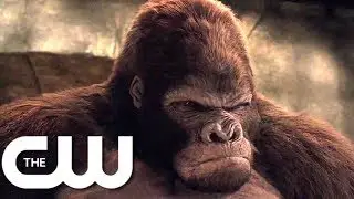 CW's 