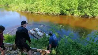 Dock launch fail