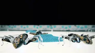 These Robot Ants Can Communicate And Complete Large Tasks Together