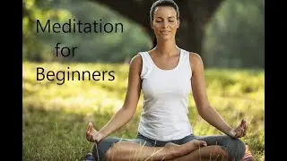 5 min Meditation for Beginners. Brain Exercise, Meditate, Relax, Rejuvenate, Unwind, Calming.