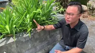 What is the potential savings in a year for bio filter pond?