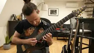Fit for a King - Witness the End Guitar Solo Cover