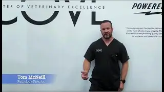 Collaborative Veterinary CT Imaging at The COVE | Fast, Affordable Answers in Waukesha, WI
