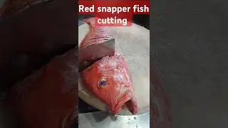 fresh seafood red snapper fish cutting skills #subscribe #short  video