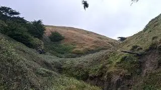 Shorttail Gulch Trail 5, Sonoma Coast, Bodega Bay, California June 8, 2025