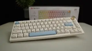 MAXFIT67 Review & Modding