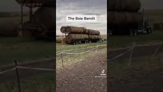 Bale Bandit Trucking