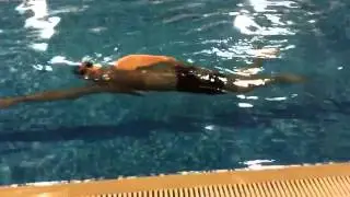 Total Immersion - Zipper Skate