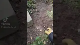 Langeweile auf der Arbeit 😂