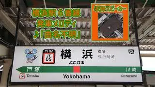 東海道線(上野東京ライン) 横浜駅6番線 発車メロディ「JRE-IKST-021」