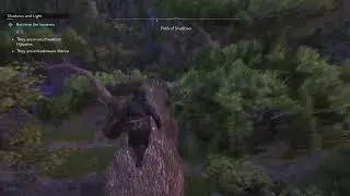 Iga Path of Shadows Guide in Assassin's Creed Shadows