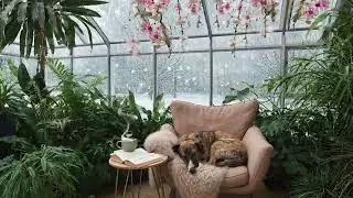 A Sleeping Dog and a Warm Greenhouse on a cozy chair with soft music