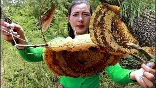 Yummy eating Fresh baby Honey in my village-My food Daily II