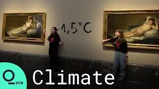 Climate Activists Glue Themselves to Paintings in Madrid Museum