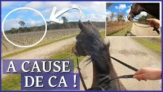 OBLIGÉE DE DESCENDRE TELLEMENT IL A EU PEUR ! 😮 - Je ne l'ai jamais vu comme ça PARTIE 1/2