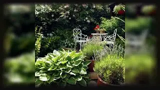Comment concevoir un jardin urbain ? - Conception du jardin