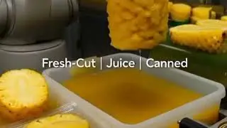 Robots Transforming Pineapple Production. #shorts #youtubeshorts #farming #agriculture #robotics 