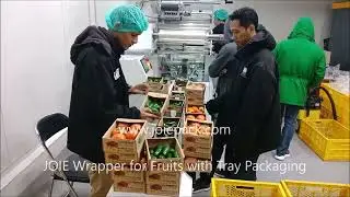 JOIEPACK 九億 || Vegetable & Fruits Packaging &ndash; 盒裝蔬果包裝