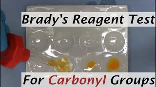 Brady&rsquo;s Reagent &ndash; Test for Carbonyl Group (Aldehydes and Ketones)