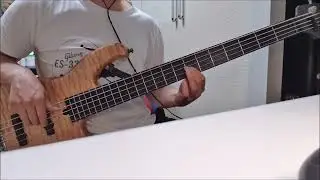 Paradise Lost - Erased (bass cover)