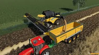 HollandScheveld  EP#4 | Farming Simulator 19 Timelapse | FS19 Timelapse | Harvest, Hay