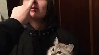 FACE-ЕСЛИ РЭП НЕ ДАСТ МНЕ ДЕНЕГ-эдит фейс lastface