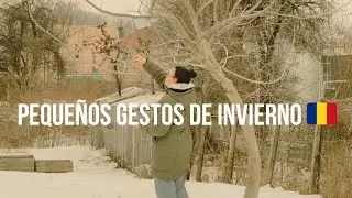 Invierno a -16°en Transilvania/ Comederos caseros