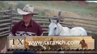 TX RANCH FIRST VISIT