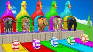 long side game lion elephant horse