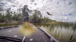 Glenn Browne Flips in Apopka