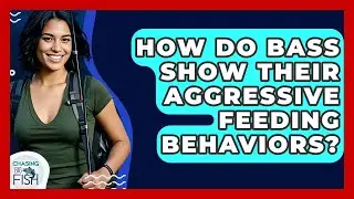 How Do Bass Show Their Aggressive Feeding Behaviors? - Chasing Big Fish