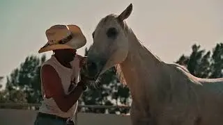 El perron Merino - Conjunto Rancho Viejo 