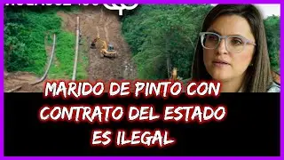 Marido de Pinto con contrato del estado es ilegal