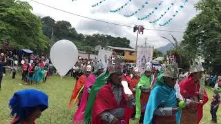 Procesión Virgen de la Asuncion Tlahuiltepa Hidalgo