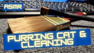 ASMR Brush Cleaning from a Purring Cat