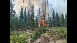 Battle at Tatuk 2!! Fire Season 2023!!