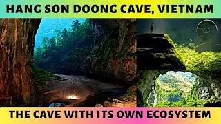 Hang Son Doong Cave, Vietnam in Hindi | Largest Cave on Planet Earth | Cave with its Own Ecosystem