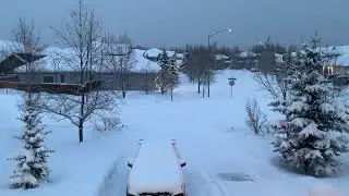 I am watching on my window with a beautiful view so pretty!😍 #rover #followme #winter 