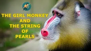 THE GIRL MONKEY AND THE STRING OF PEARLS | Short Stories in English | Success Mindset Motivation