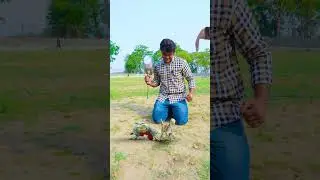T-Rex Dinosaur, Raptor Dinosaur & Dragon defeated by God of Thunder with his hammer | Dinosaur Point