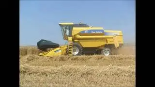 Büyükabdiuşağı Köyü